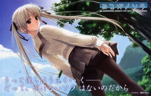 视觉数据6
